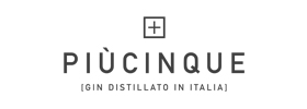 logo gin più cinque