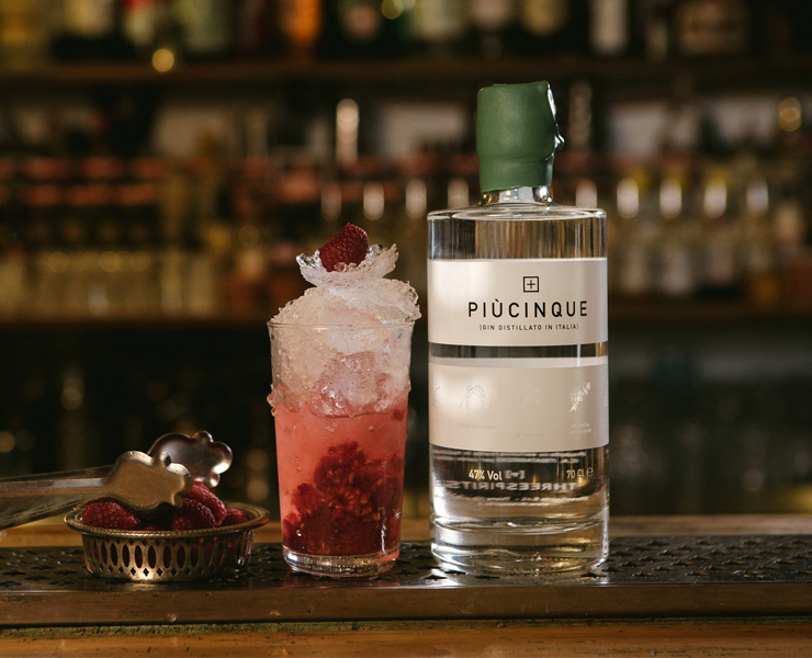 Gin + 5