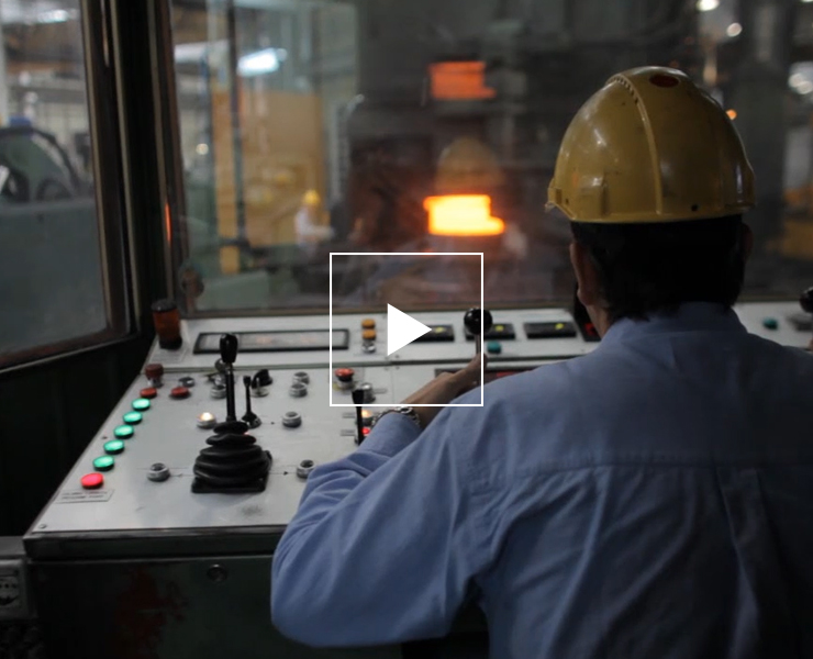 Forgital group video